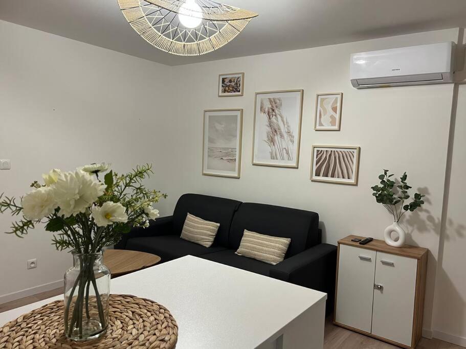 *La Pampa, Studio, Parking, Clim, Hopitaux/Fac* Montpellier Bagian luar foto